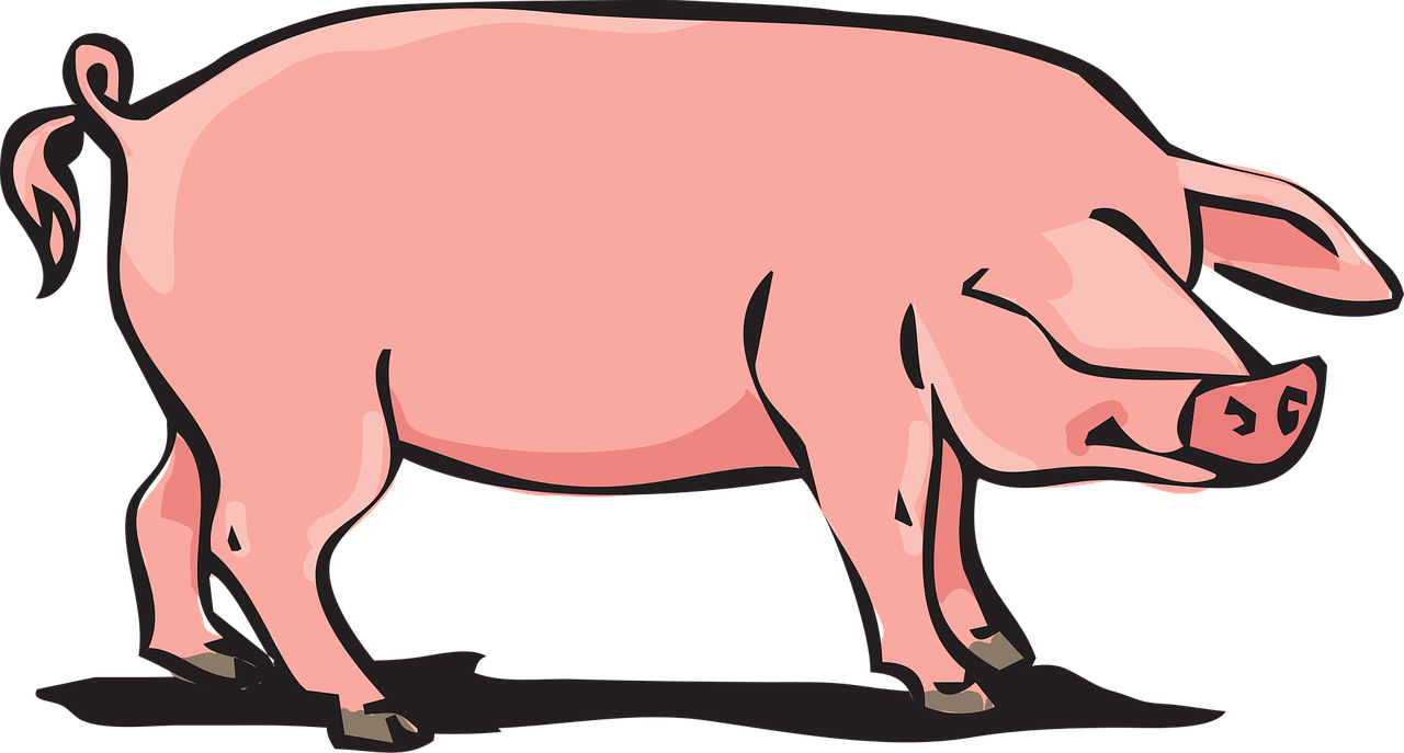 Compétence #10 Coupes de détail du porc
